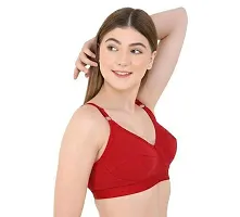 Stylish Women Cotton Blend Basic Bra-thumb2