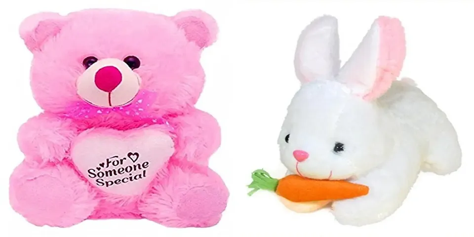 Cute Soft Toys For Kids Pack Of 2