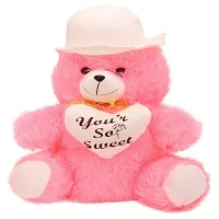 Gift Basket Stuffed Soft Toy Combo Of Huggable Couple With Pink Cap Teddy-thumb1