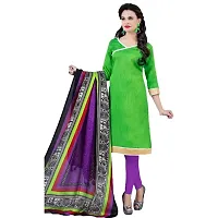 Giana LightGreen and Purple Bhagalpuri Chudidar Suit-thumb1