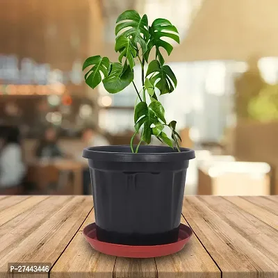 6 Inch Round Black Plastic Pots - Set of 5- Flower Pot Nursery Plant Pot for Home Garden-thumb2
