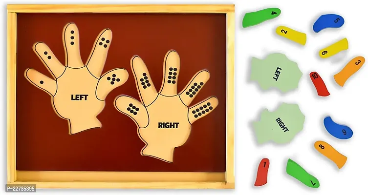 Learn the Counting Left Hand and Right Hand Multicolor