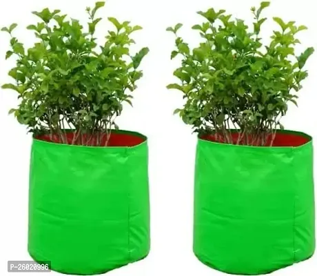 Beautiful Plant Grow Bags-Pack Of 2