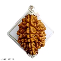 Brown 2 Mukhi Rudraksha Pendant Mantra Siddha Two Face Certified With Lab Report-thumb2