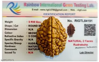 Shiva rudraksha Pure 2 Mukhi Rudraksha-thumb1