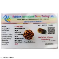 lord shiva rudraksha beads Original Nepali 2 Mukhi Rudraksha Bead rudraksha-thumb2