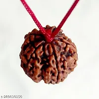 lord shiva rudraksha beads Original Nepali 2 Mukhi Rudraksha Bead rudraksha-thumb1