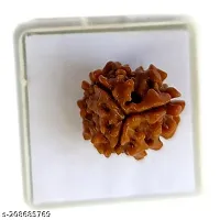 3 Mukhi Rudraksha for Men and Women-thumb1