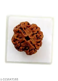 Shiva rudraksha Pure 4 Mukhi Rudraksha-thumb2