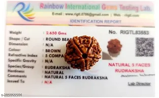 Natural Oval Shape Brown 5 Mukhi Nepali Rudraksha Beads-thumb1