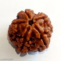 Natural Oval Shape Brown 5 Mukhi Nepali Rudraksha Beads-thumb2