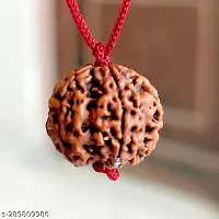 Natural Oval Shape Brown 5 Mukhi Nepali Rudraksha Beads-thumb3