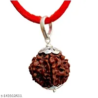 Brown 6 Mukhi Nepali Rudraksha Beads With Blessing Of Lord Shiva-thumb3