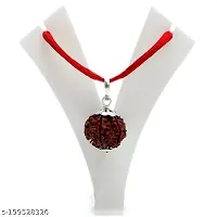 Shiva rudraksha Pure 6  Mukhi Rudraksha-thumb1