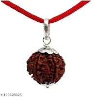 Shiva rudraksha Pure 6  Mukhi Rudraksha-thumb2