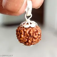 7 Mukhi Rudraksha-thumb2