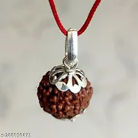 7 Mukhi Rudraksha-thumb3