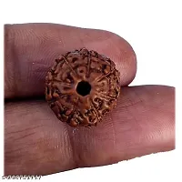 Lord Shiva Rudraksha Beads (colour: Brown, Shape: Round)-thumb1