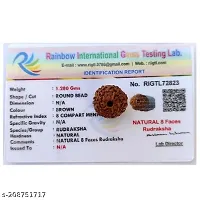 Lord Shiva Rudraksha Beads (colour: Brown, Shape: Round)-thumb3