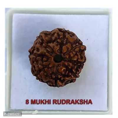 Lord Shiva Rudraksha Beads (colour: Brown, Shape: Round)