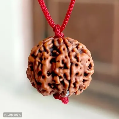 7 Mukhi Rudraksha