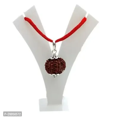 Shiva rudraksha Pure 6  Mukhi Rudraksha