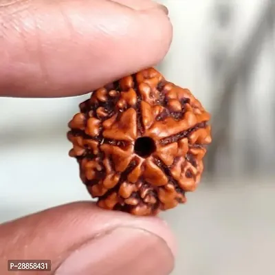 Natural Oval Shape Brown 5 Mukhi Nepali Rudraksha Beads