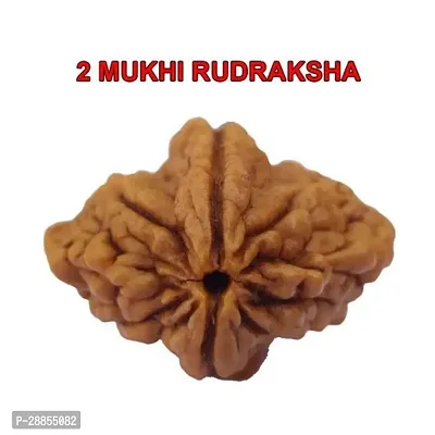 Shiva rudraksha Pure 2 Mukhi Rudraksha 2 Face Brown Bead Both for Men  Women-thumb0