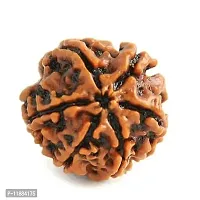 Rudraksha 4 Mukhi Four Face Rudraksh  pack of 1-thumb2