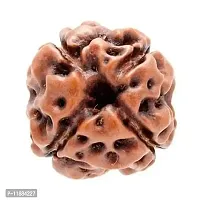 Rudraksha 4 Mukhi Four Face Rudraksh  pack of 1-thumb3