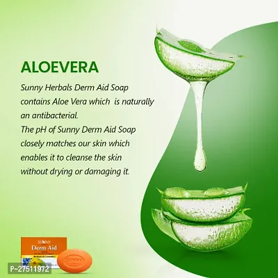 Sunny Herbals Derm Aid Soap PACK OF 6 X 75 GMS = 450 GMS-thumb3