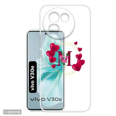 vivo V30e 5G  Back Cover By American Storm-thumb0