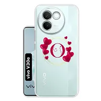 vivo V30e 5G  Back Cover By American Storm-thumb1