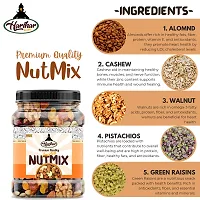 HARIHAR KRIDHA - Healthy Nutmix (500g) | Dried Almonds, Green  Black Raisins, Cashew nuts, Walnut Kernels  Many More.-thumb2