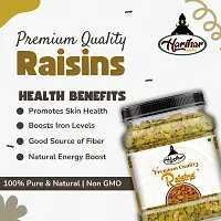 Premium Raisins 500gm-thumb2