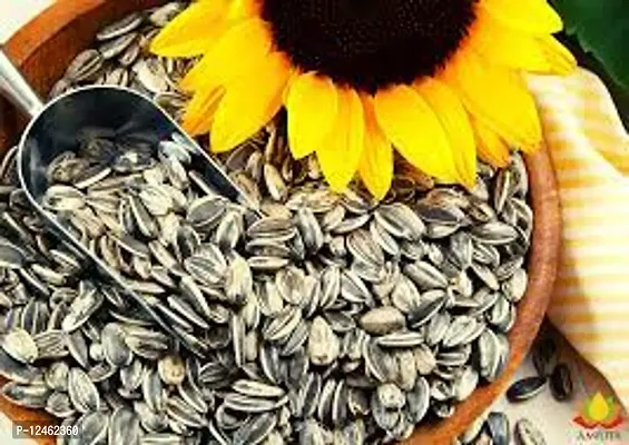 KWIK SNACK Sunflower Seeds 2 X 200g - 400 GM- Premium Seeds for Eating |  Healthy Snacks | High in Vitamin, Fibre  Protein| Diet Food |-thumb2