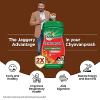 Zandu Chyavanprash Avaleha, Made with Jaggery 900g 2X Immunity, Increases Strength and Stamina-thumb2
