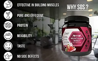 Muscular Whey Protein Powder Strawberry Flavour-thumb1