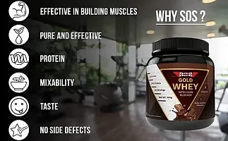 Whey Protein Powder 1 Kg Chocolate-thumb2