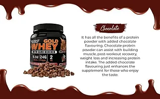 Whey Protein Powder 1 Kg Chocolate-thumb1