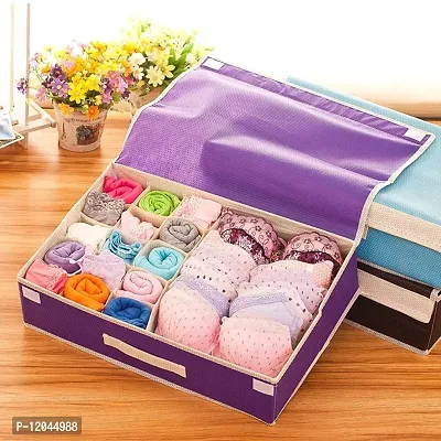 Buy Craft Bazar Lingerie Storage Organizer Undergarments Organizer