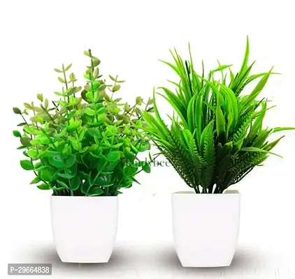 Artifical Plant for Desk - Pack of 2