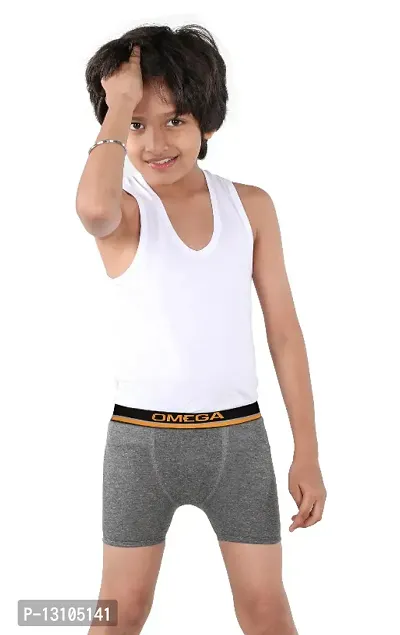 Boy Underwear Boxer/Brief Cotton Outer Elastic Omega Myshape(Offer Pack of 4, 2 pcs from each design))-thumb4