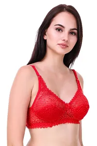 Classic Net Embroidered Non Padded Full Coverage Bra (Pack of 2)-thumb4