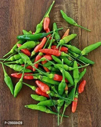 Corofitam MirchChilli Plant mirchi16