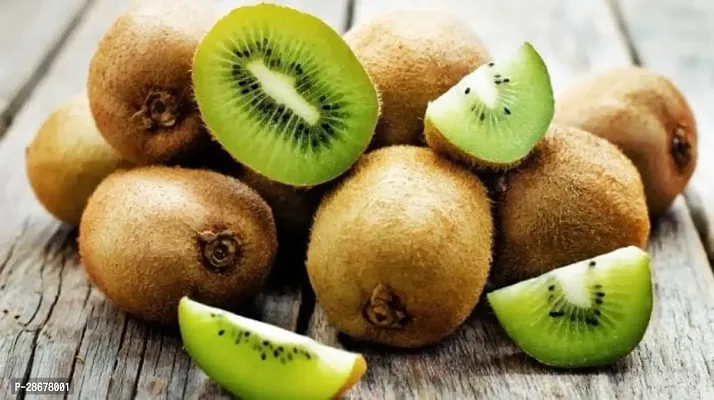 Kiwi Plant