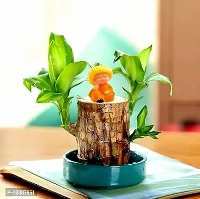 Petite Brazilian Wood Gardening Decor-thumb0