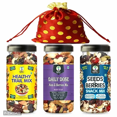 SRC CREATIONS Mix Dry Fruits Gift Pack Potli (Healthy Trail Mix 100g+Daily Dose 100g+ Seed  Berries 100g = 300g) Gifts for Family and Friends || Festive Gift's || Gifts