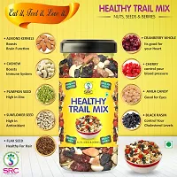 SRC CREATIONS Healthy Trail Mix (a dry fruit mixture) Nuts, Seeds  Berries Ready to Serve | Super Food | Breakfast Food (250g)-thumb4