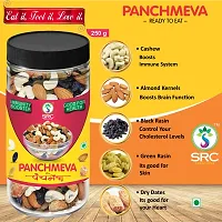 SRC CREATIONS Panchmeva Healthy Trail Mix with Dry Fruits Mixture | Ready to Serve | Uttam Prasad | Jar Packing easy to storage Reusable Jar (100gm)-thumb3